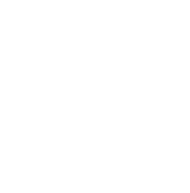 Andsyl Perú Logo Blanco