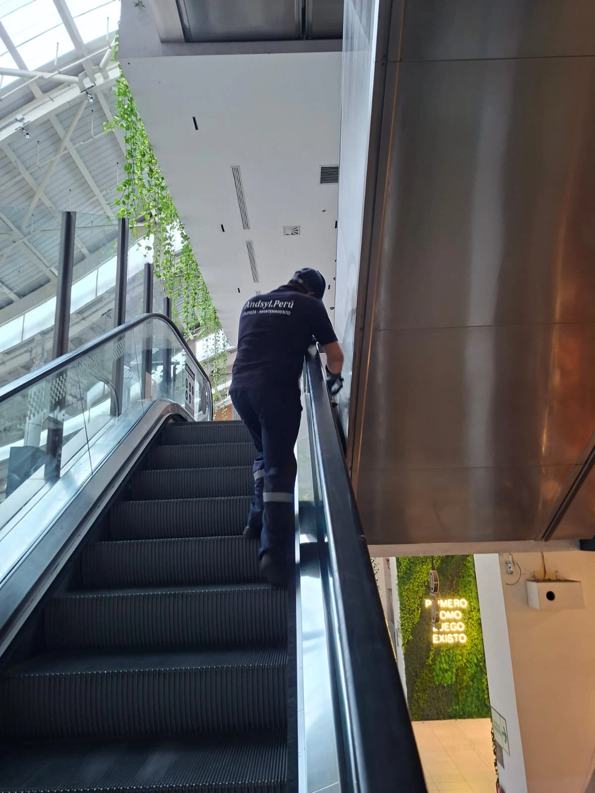 Servicio de Escaleras brindado por Andsyl